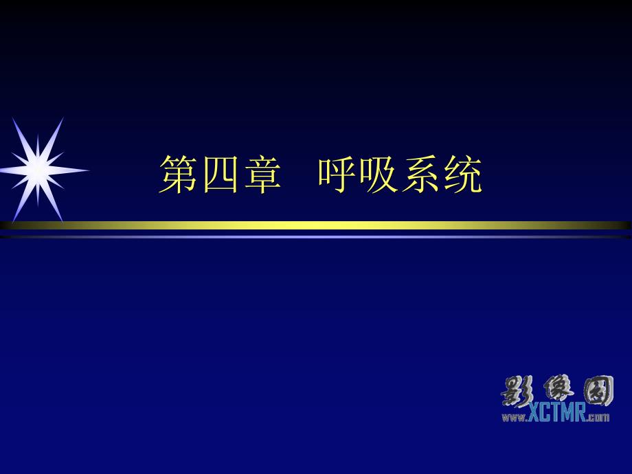 肺肿瘤影像_第1页