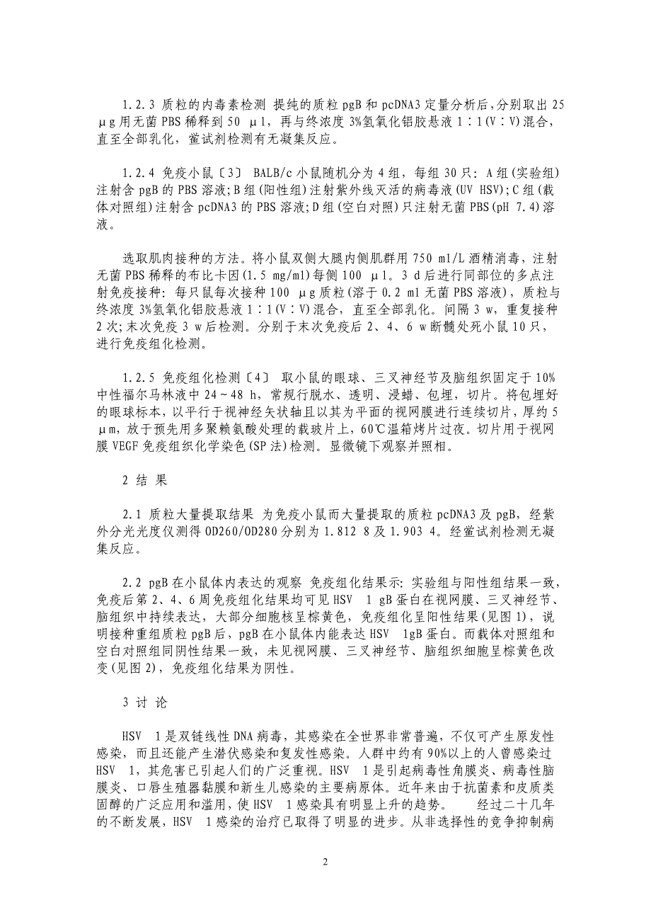 HSV1糖蛋白B基因疫苗体内表达的观察_第2页