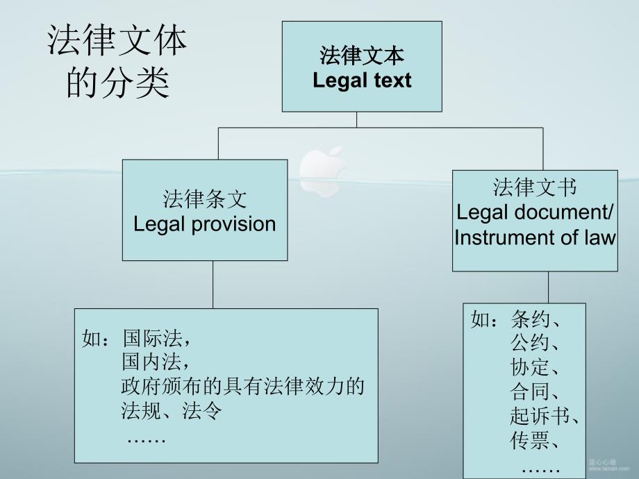 法律文本翻译_第2页