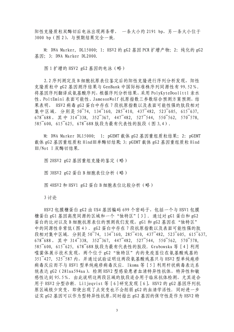 单纯疱疹病毒2型糖蛋白G的基因扩增、克隆及其B细胞抗原表位分析_第3页