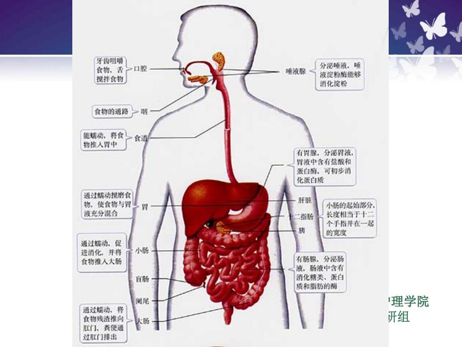 满足病人胃肠及排泄需要_第4页