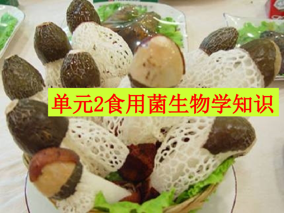 单元2食用菌的生物学特性_第1页