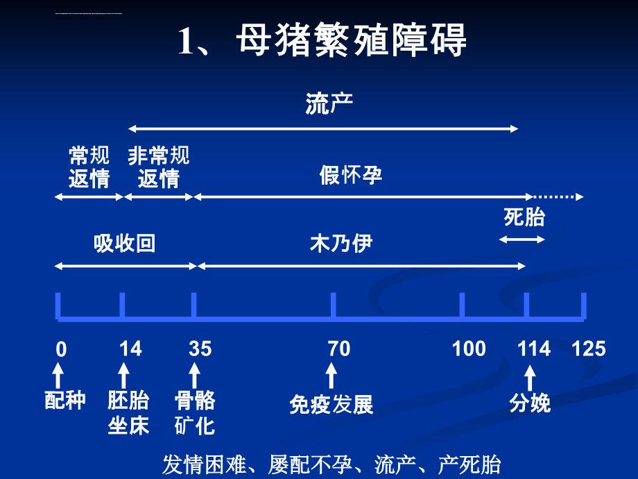 充分发掘母猪的繁殖潜力_第4页