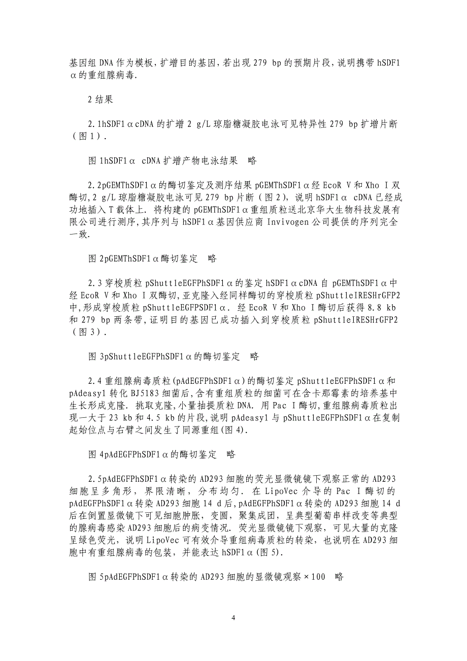 细菌内同源重组快速构建和制备表达hSDF_第4页