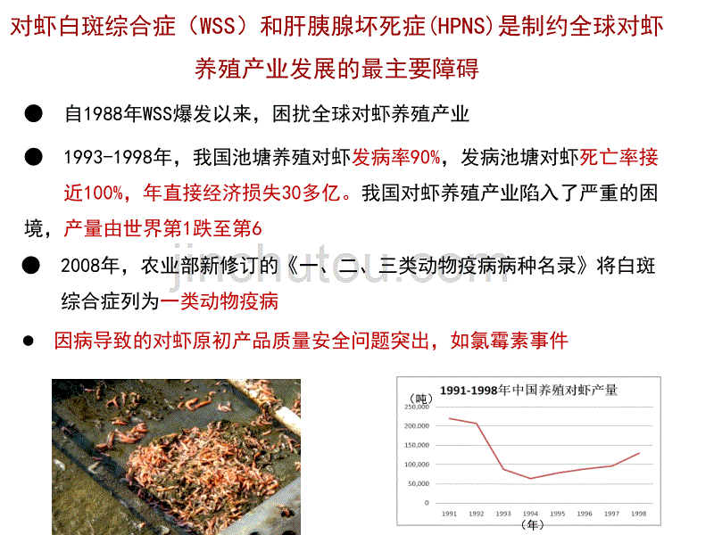 对虾养殖生态防控技术_第3页