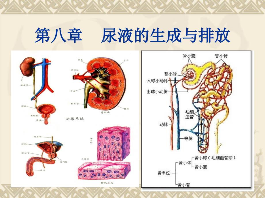 能力和对知识的概括总结能力情感目标培养学生严谨的_第2页