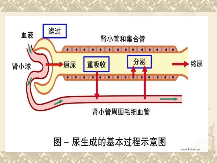 能力和对知识的概括总结能力情感目标培养学生严谨的_第3页