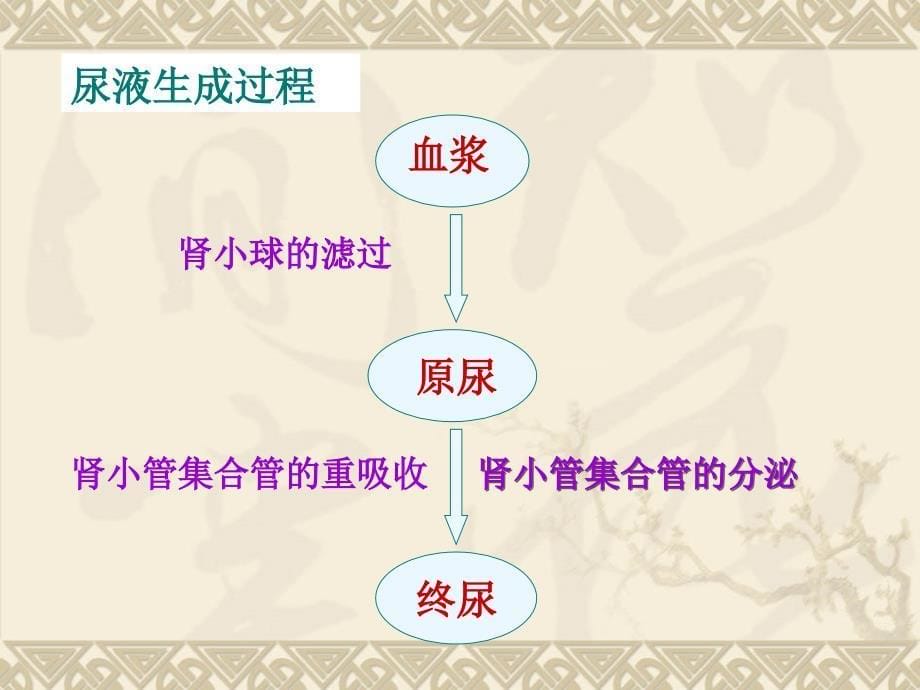 能力和对知识的概括总结能力情感目标培养学生严谨的_第5页