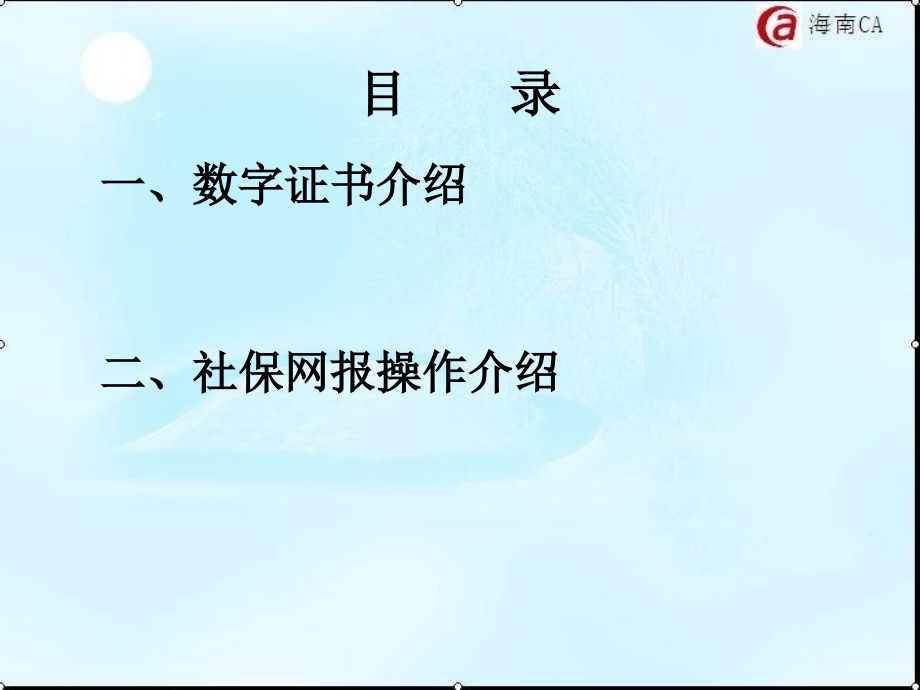 海口市社保网上申报培训_第2页