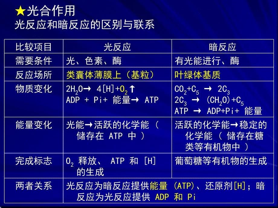 专题二细胞的代谢课件_第5页