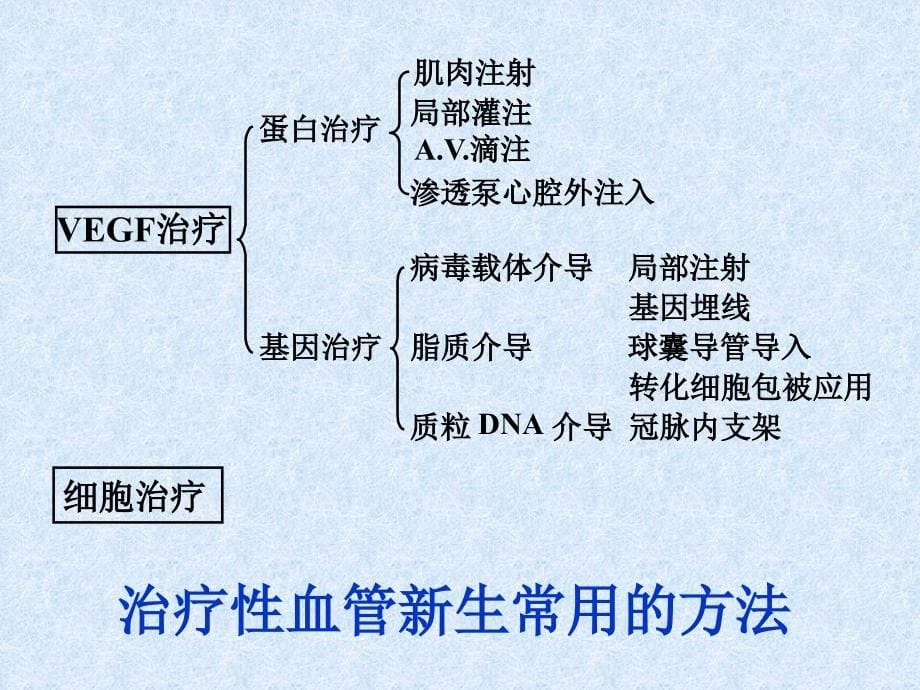 【生物医学】治疗性血管新生实验研究的若干进展--复旦大学上海医学院生理与病理生理学系金惠铭教授_第5页