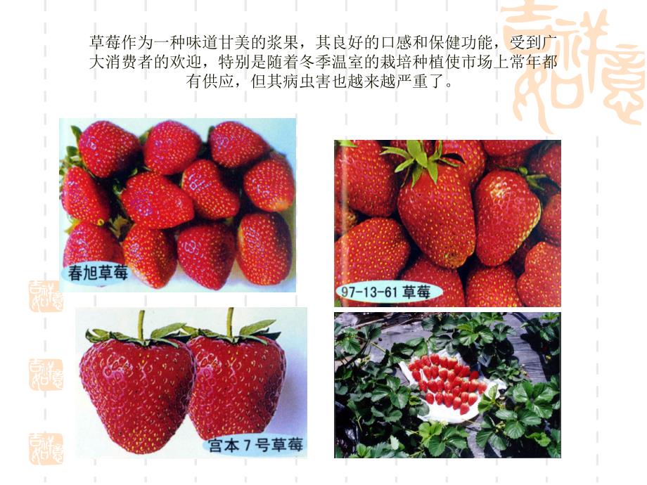 草莓病虫害施肥管理技术.ppt_第3页
