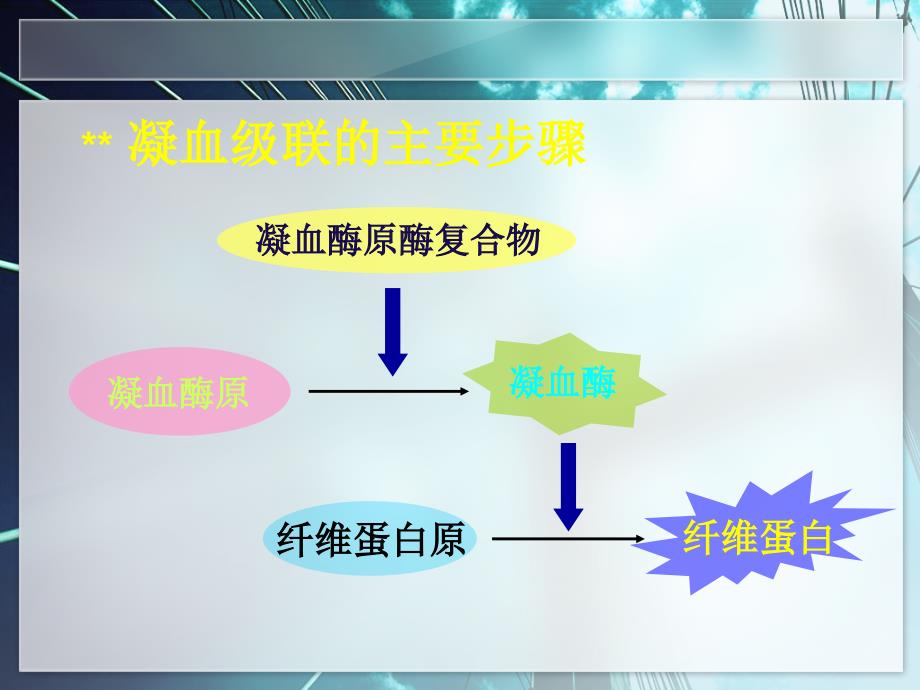 抗凝药的基础及应用_第4页