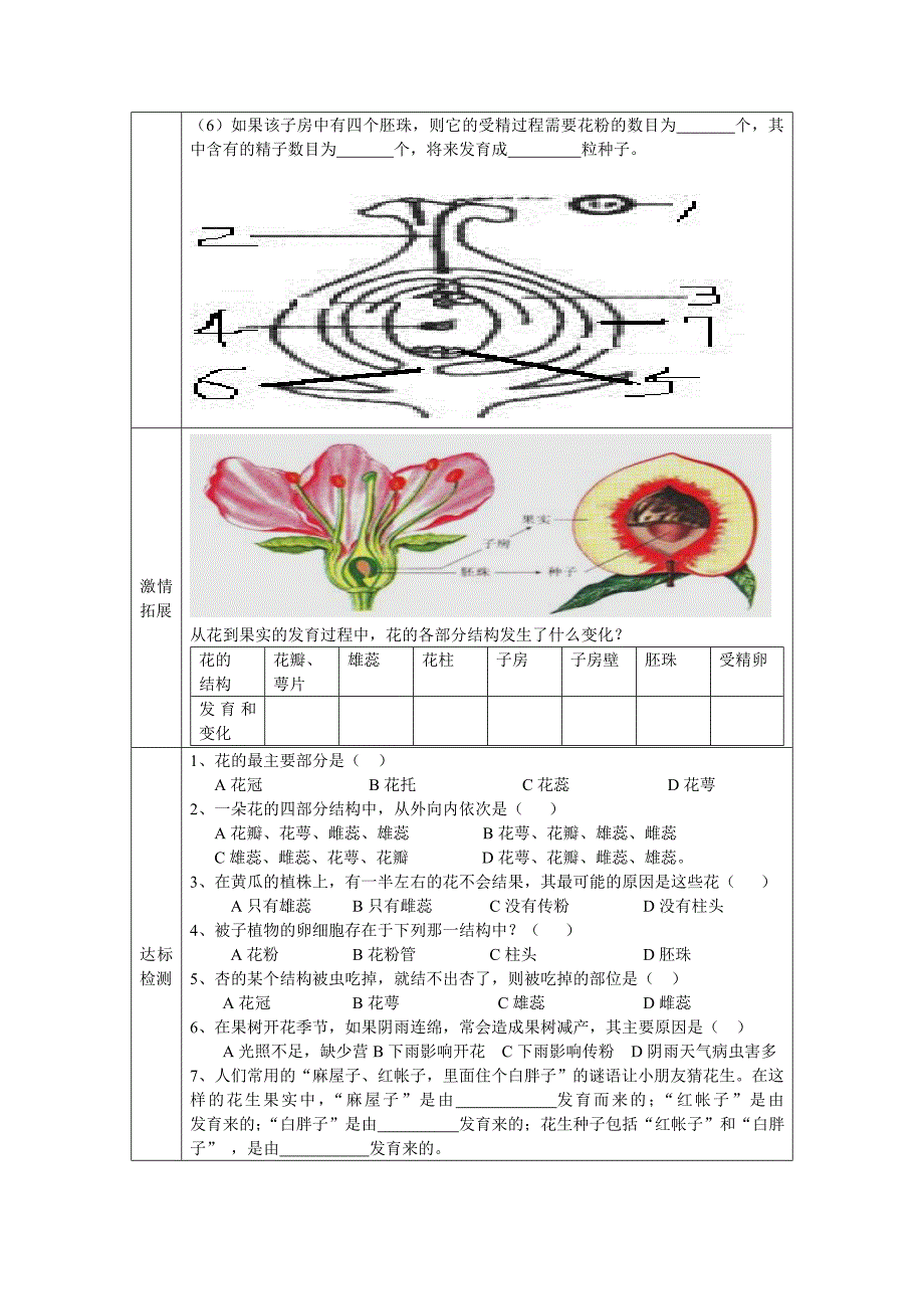 开花和结果学案_第2页