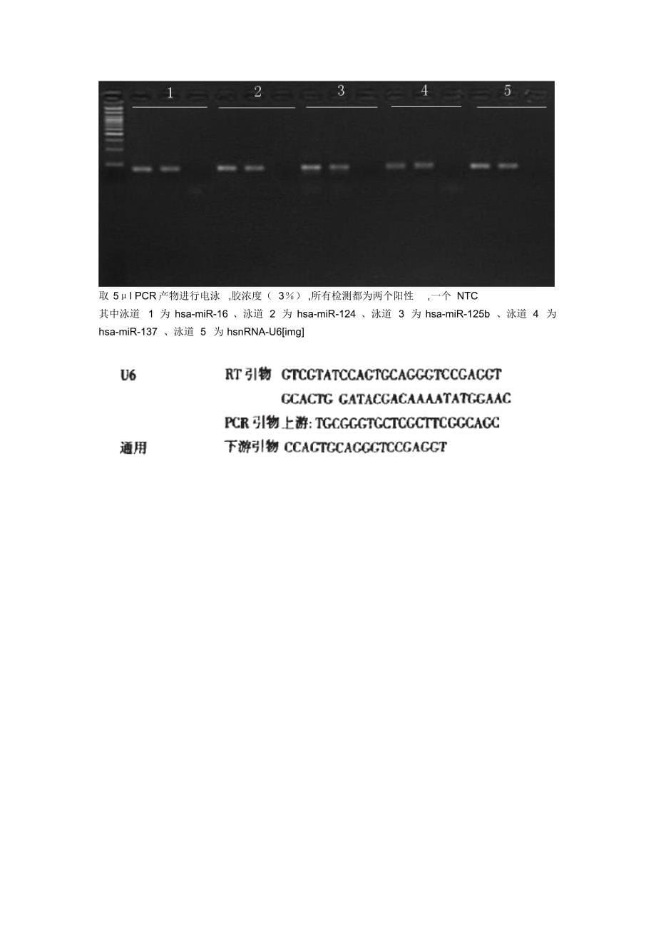 microRNA反转和定量引物设计原理、实验方法_第5页