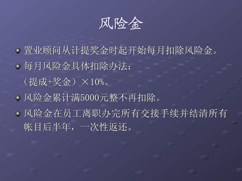 置业顾问绩效考核及薪酬体系1_第4页