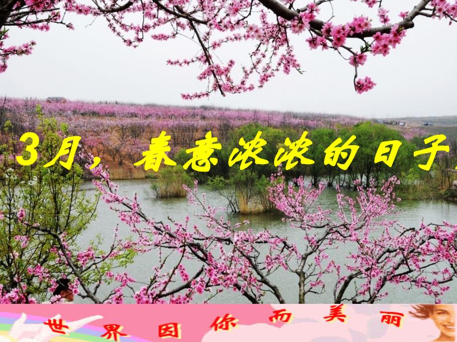 美丽的三月快乐女人-营销销售节日假日假期公司早会晨会夕会ppt幻灯片投影片培训课件专题材料素材_第2页