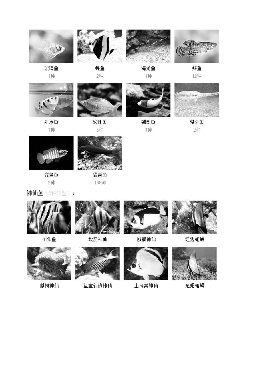 常见观赏鱼种类及名称_第4页