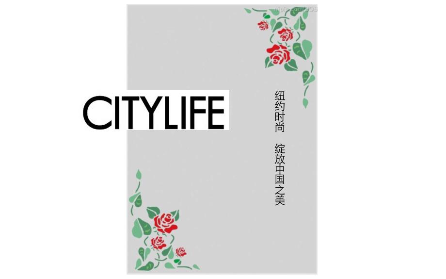 CL品牌定位策略100916_第1页
