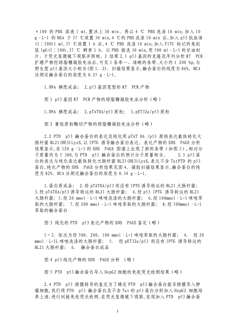 PTDp53 融合蛋白的表达、纯化及其对肝癌细胞的转导活性_第3页