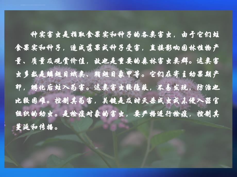 种实害虫--蛀干害虫及防治ppt培训课件_第2页