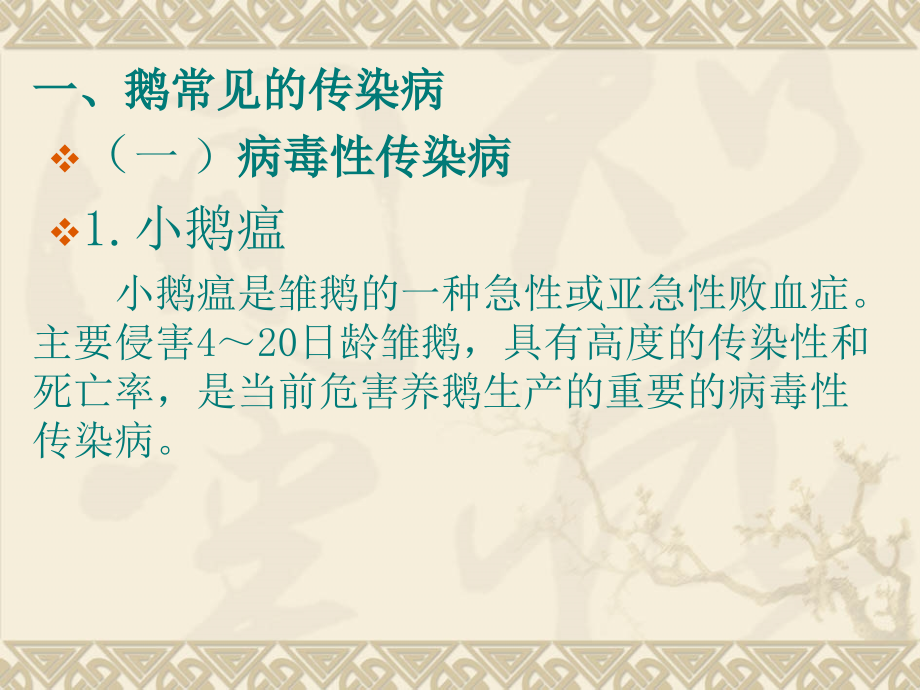 鹅常见传染病的防治ppt培训课件_第3页