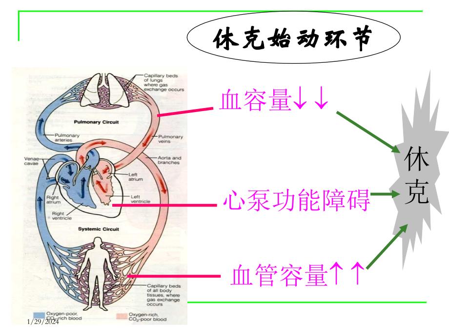 外科护理学--外科休克病人的护理_第4页