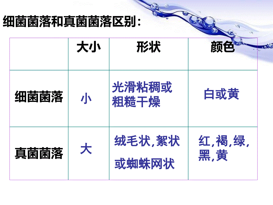 八年级生物上册复习重点_第2页