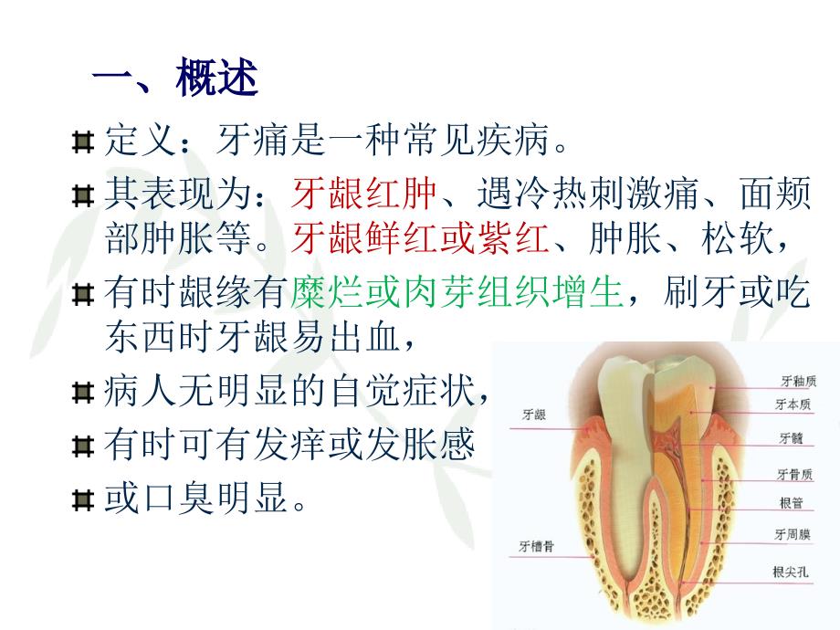 自我推拿治疗牙痛ppt培训课件_第4页