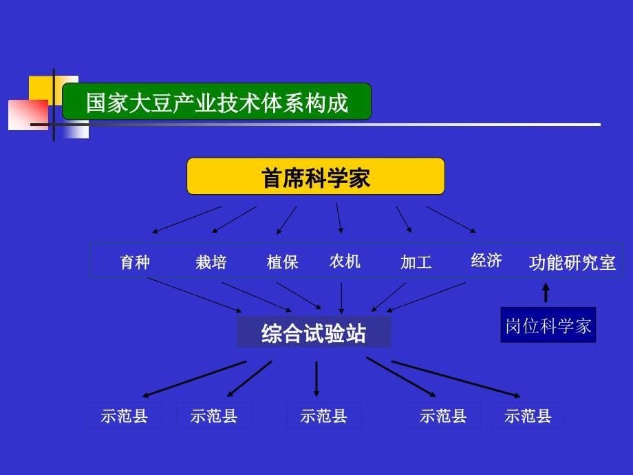 大豆产业形势及高产栽培技术_第5页