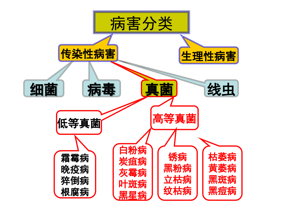 蔬菜病害综合版ppt培训课件_第3页