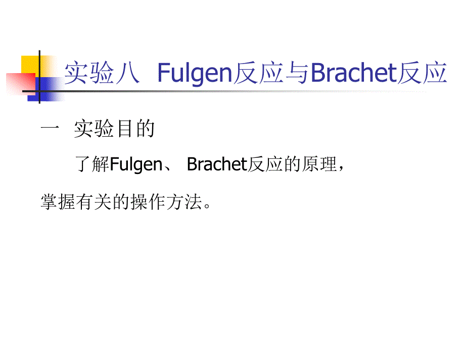 实验八  Fulgen反应与Brachet反应_第1页