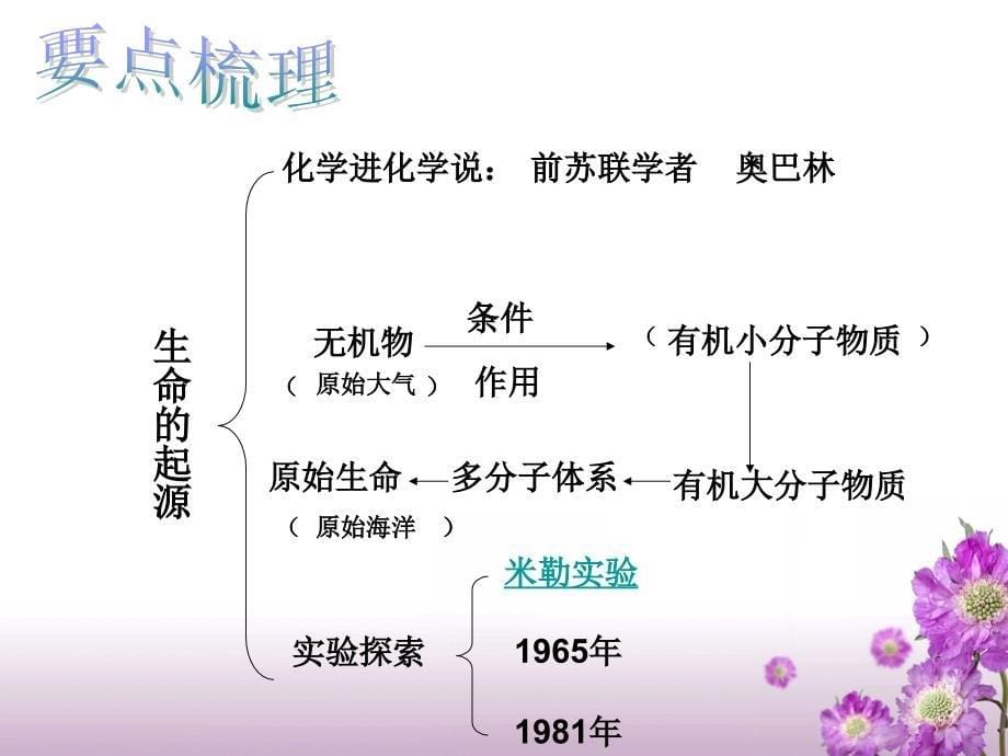 八年级下册生命的起源和进化历程_第5页