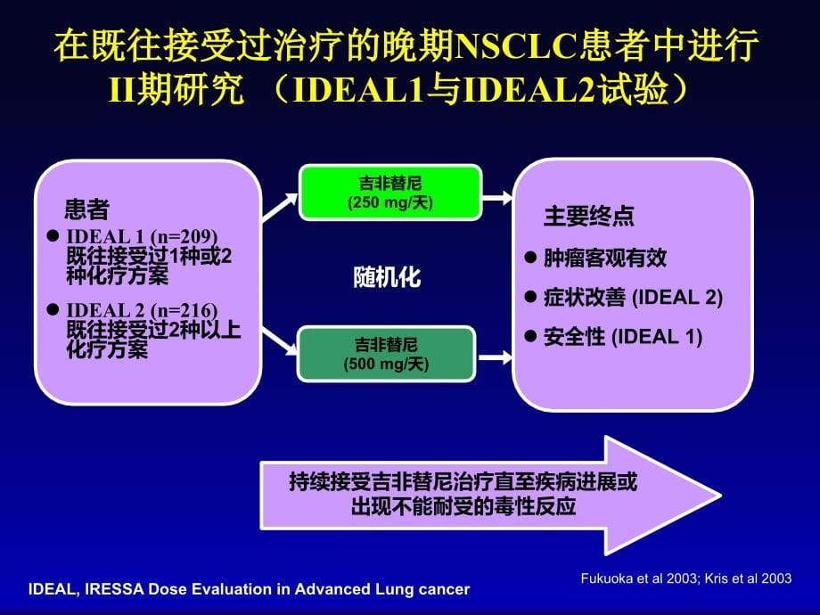 医科院肿瘤医院冯奉仪教授：易瑞沙的发展历程_第5页