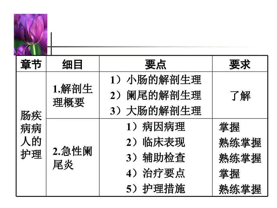 急性阑尾炎病人的护理-本_第2页