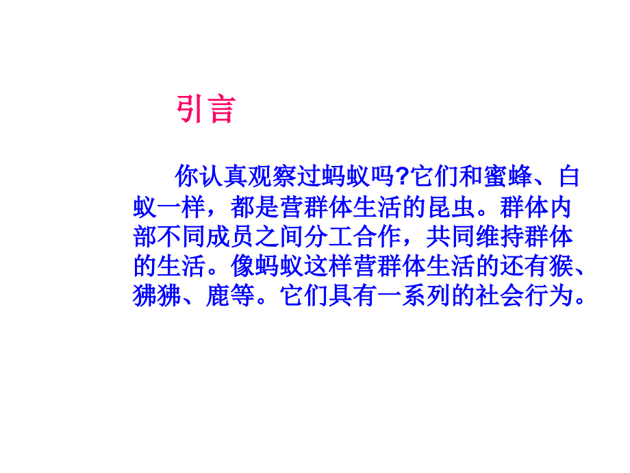 八年级生物社会行为1_第2页