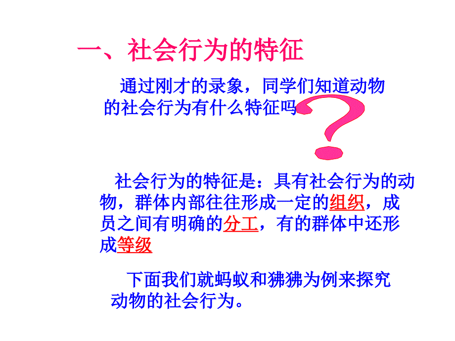 八年级生物社会行为1_第3页