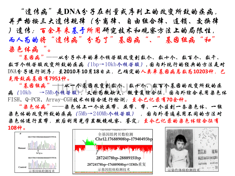 2012从基因染色体到临床特征_第5页