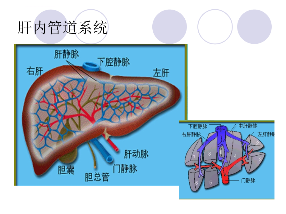 肝脏常见疾病1的超声诊断ppt培训课件_第4页