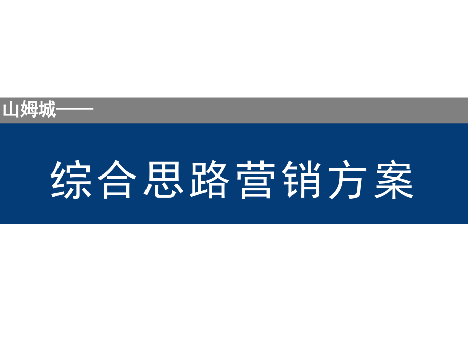 2013江苏南通如皋市山姆城综合思路营销70p_第1页