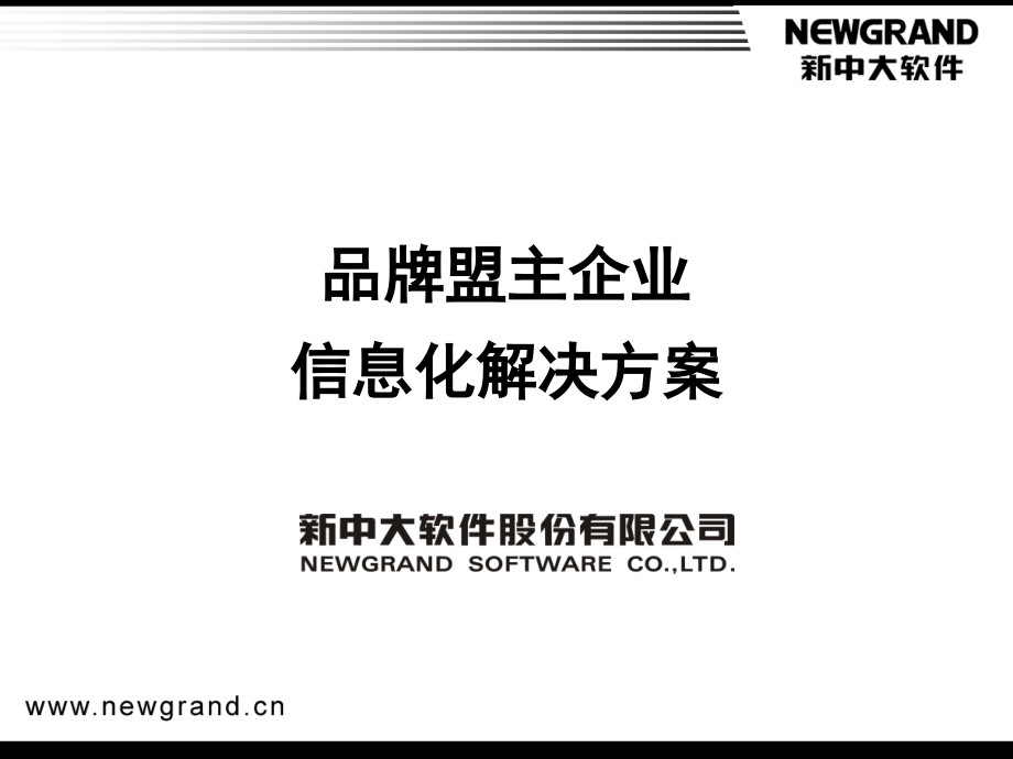 品牌盟主企业信息化解决方案_第1页