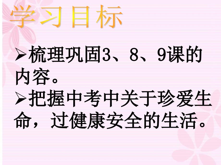 珍爱生命过健康安全的生活(2)_第2页