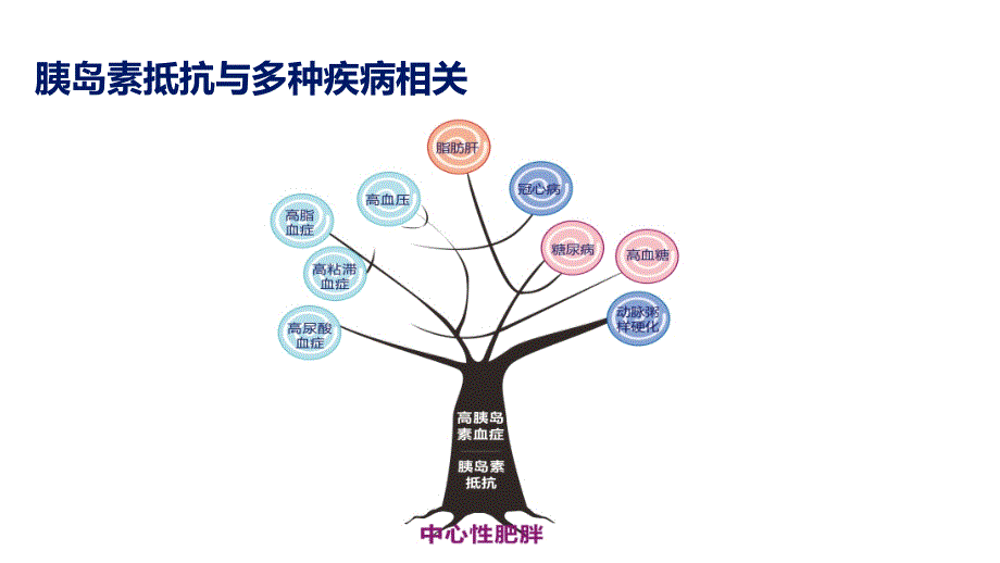 利拉鲁肽降低内脏脂肪_第4页