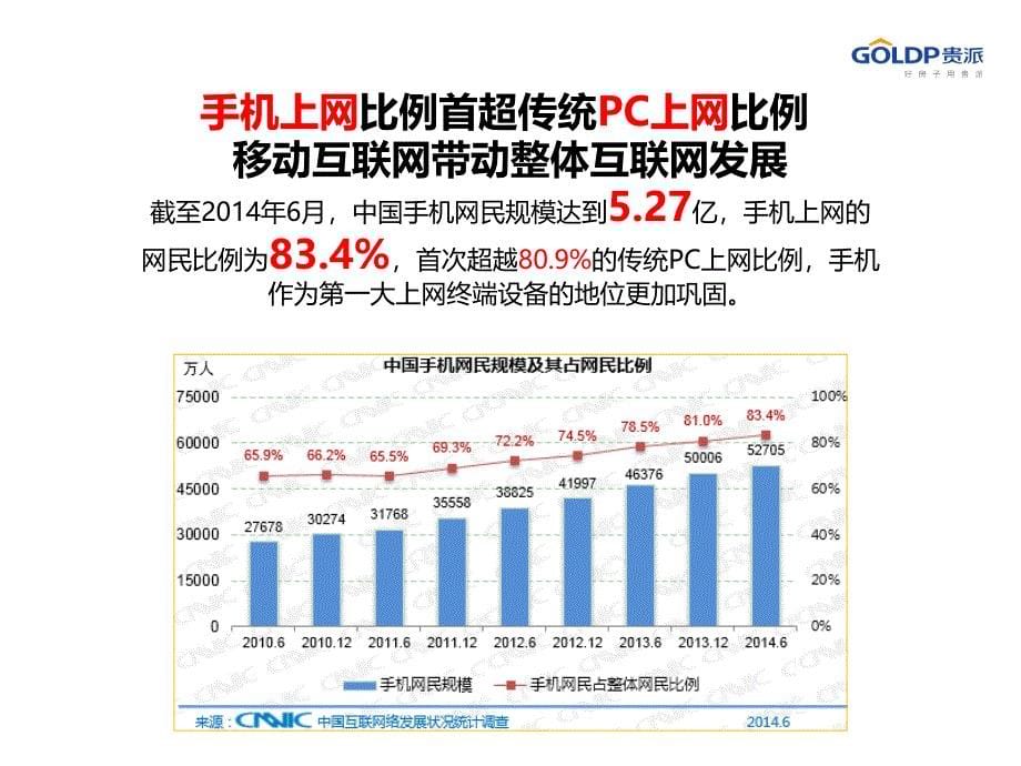 2014贵派网络推广策略及规划_第5页