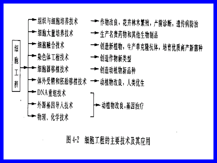 生物技术导论--细胞工程第1_第4页