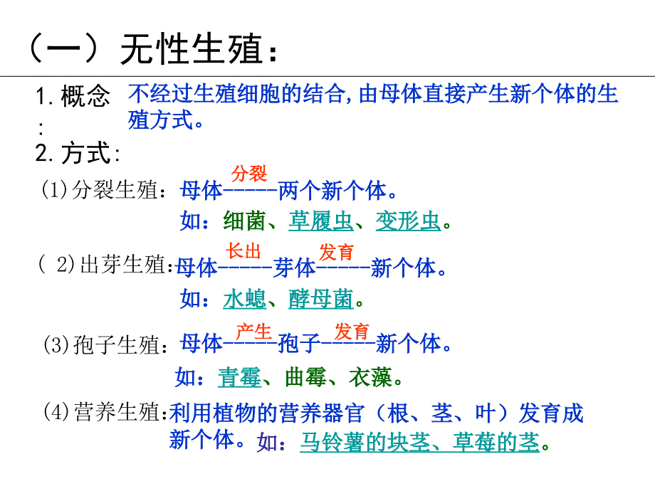 高一生物生物的生殖_第4页