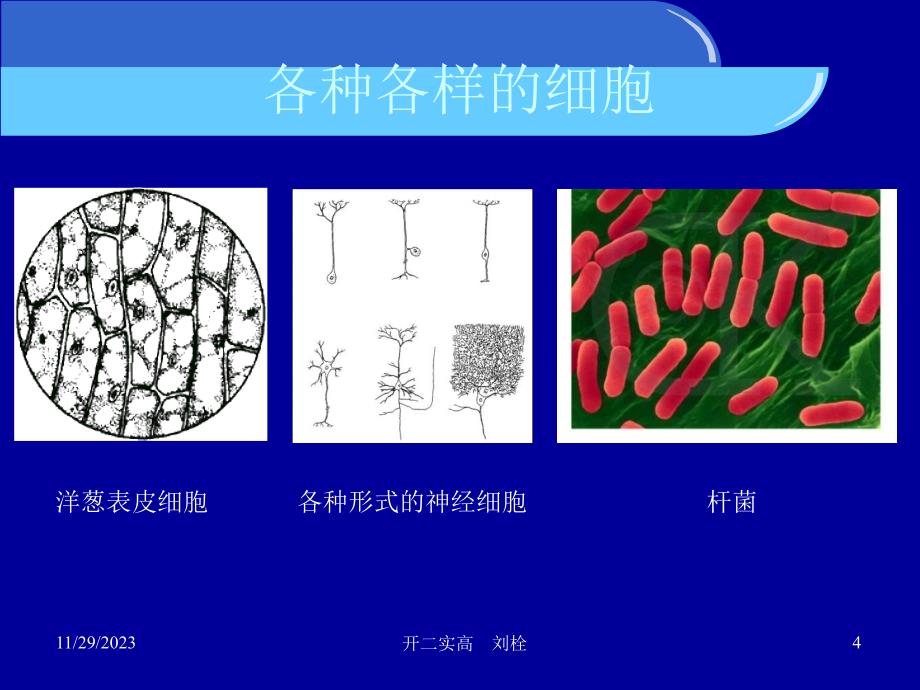 高中生物绪论_第4页