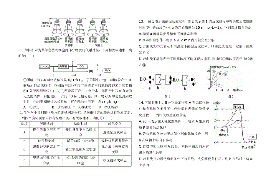 酶、ATP 细胞呼吸检测_第2页