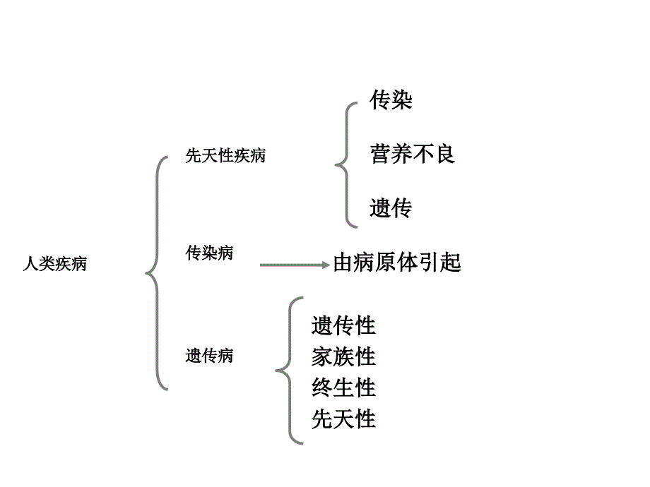 高中 必修二生物 人类遗传 课件_第2页