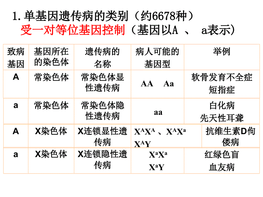 高中 必修二生物 人类遗传 课件_第4页